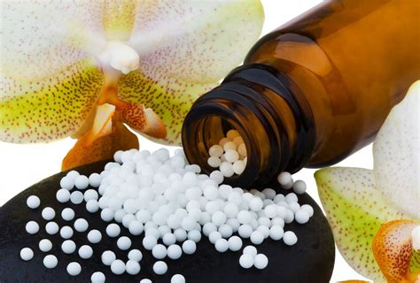Remedios Homeopáticos Para Las Picaduras Blog De Inma Vinue Farmacéutica