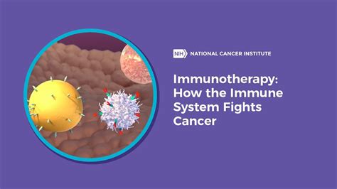 Immunotherapy How The Immune System Fights Cancer Youtube