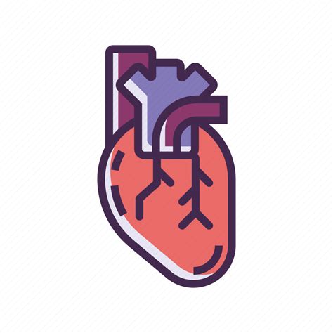 Heart Organ Icon Download On Iconfinder On Iconfinder