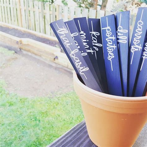 Diy Veggie Garden Markers Plant Stakes Cameo