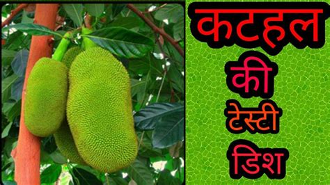 कटहल रेसीपी इं हिंदी Jack Fruit Recipe In Hindi Jack Fruit Recipe