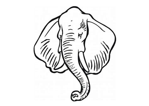 African Elephant Coloring Page Coloring Pages