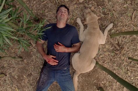 The Lost Finale Was The Decades Most Underrated Ending Lost Tv Show