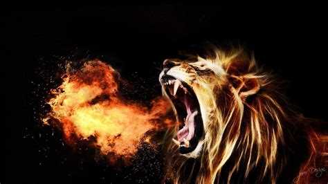 Daughters Of God The Lion Of Judah Is Roaring Daughters Of Zion