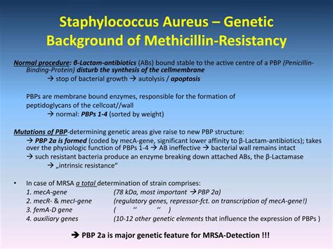 Ppt Mrsa Methicillin Resistant Staphylococcus Aureus Powerpoint