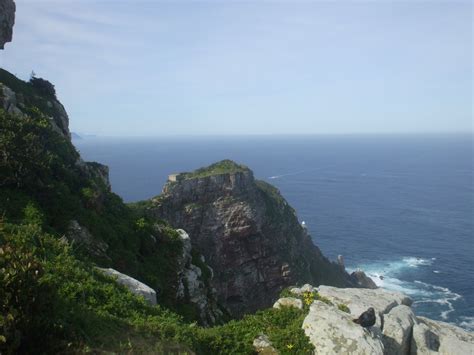 That's exactly what you'll be up to in each of these quiz games online. Geology for Global Development | Friday Photo (87): Wildlife in the Field - Lizards at Cape Point