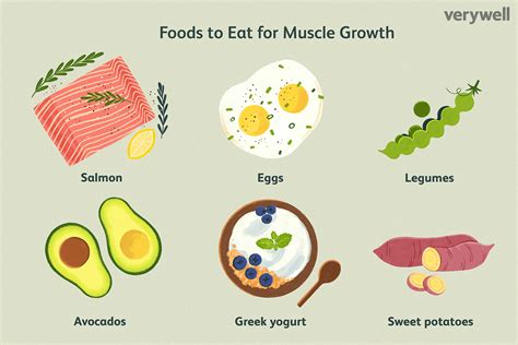 Muscle Building Nutrition Guide Besto Blog