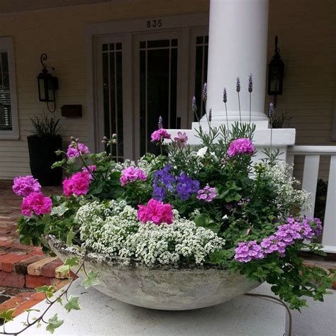 Best Container Gardening Flowers Ideas One And Only
