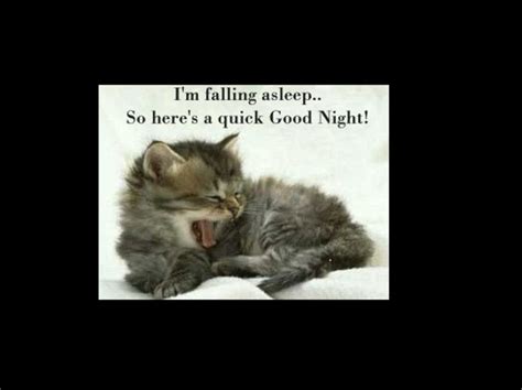 Do not sleep so tight until you can't hear. Funny Good Night Messages for Friends | HubPages