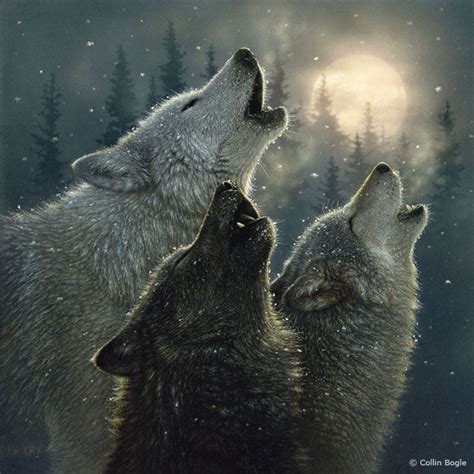 Wolf Paintings Wolf Art Prints Wolves Painting Artist