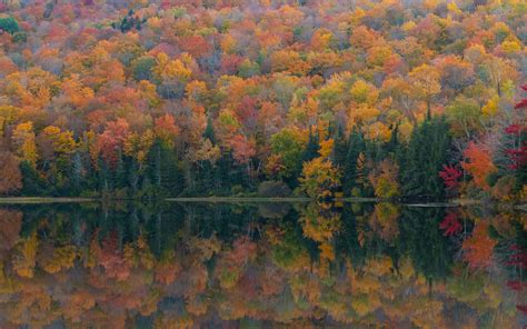 Download Wallpaper 3840x2400 Forest Lake Reflection Autumn Nature