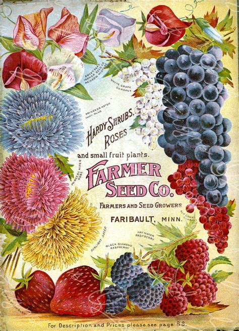 Vintage Seed Catalog Reprint Cover Of Farmer Seed Company Plant And S