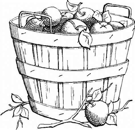 Gambar Apple Basket Picture Colouring Page Happy Coloring Pages Di