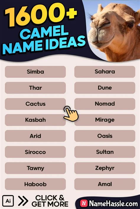 1600 Cool And Funny Camel Names Ideas Generator 2024