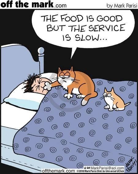147 Best Images About Cat Cartoons On Pinterest Cats The Far Side