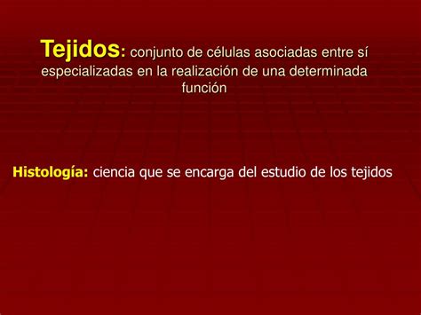Ppt Los Tejidos Animales Powerpoint Presentation Free Download Id