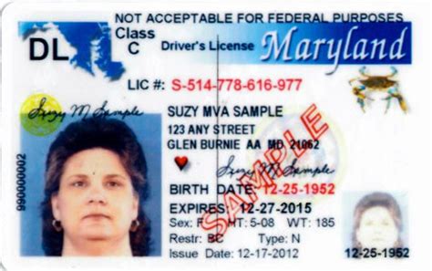 Georgia Drivers License Renewal Grace Period