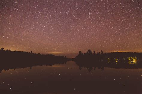 Royalty Free Photo Silhouette Of Trees Under Starry Sky During