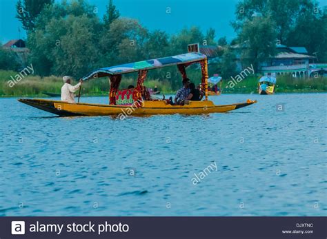 Shikara Boat Dal Lake In Srinagar Kashmir Jammu And Kashmir Stock
