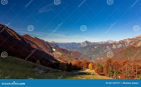 Foliage In The Woods Of Val Di Resia Friuli Venezia Giulia Stock Image