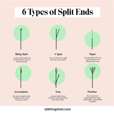 What Causes Split Ends Learn How To Prevent Damage In Hair