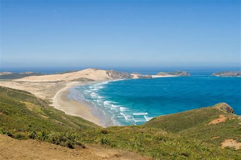 The Best Beaches In New Zealand On The North Island And