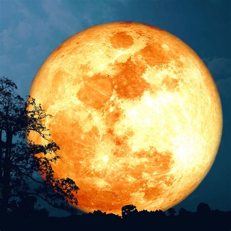 Calendario Lunar Fases De La Luna Corte De Pelo Y Siembra