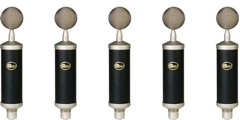 Take Your Home Recordings To The Next Level W The Blue Microphones