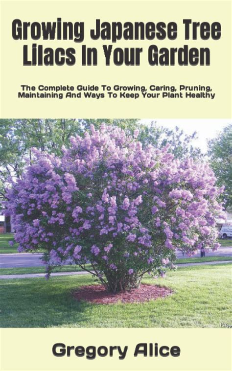 Buy Growing Japanese Tree Lilacs In Your Garden The Complete Guide To Growing Caring Pruning