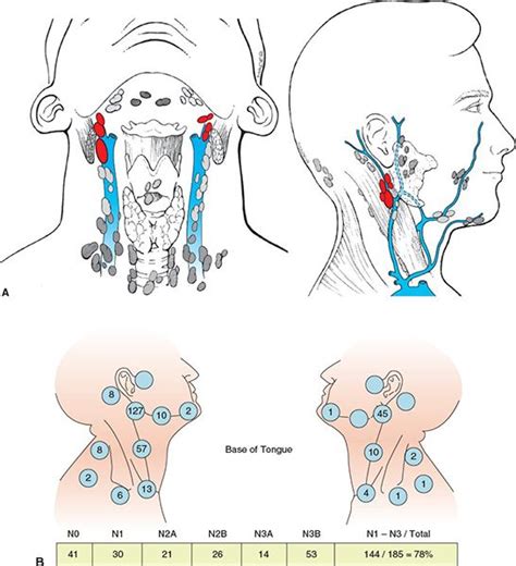 Oropharynx Radiology Key