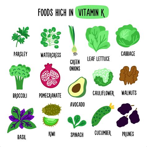 Foods High In Vitamin K Vector Illustration With Healthy Foods Rich In