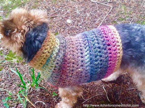 Quick And Easy Small Dog Crochet Sweater Itchin For Some Stitchin