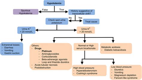 Hypokalemia Diagnostic Algorithm Download Scientific Diagram