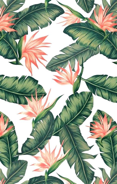 25 Iphone Wallpaper Tropical Leaves Bizt Wallpaper