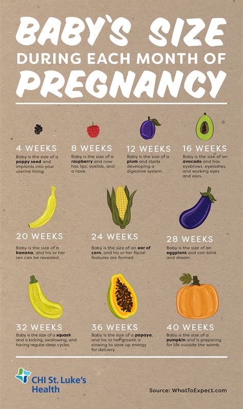 Pregnant Belly Shape And Size A Month By Month Guide