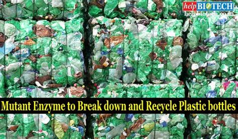Mutant Enzyme To Break Down And Recycle Plastic Bottles Report In Nature
