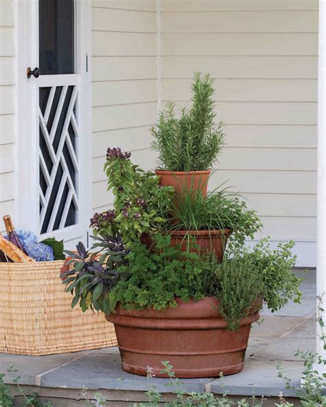 Herb Container Gardening Ideas Gardeners Advice