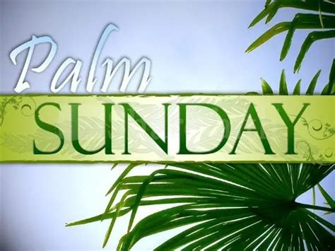 Top 10 Amazingly Blessed Happy Palm Sunday Quotes Messages Wishes