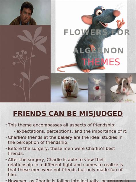 Flowers For Algernon Themes Friendship Emotions