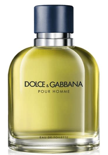 10 Best Dolce And Gabbana Colognes For Men 2021 Cologne Critic