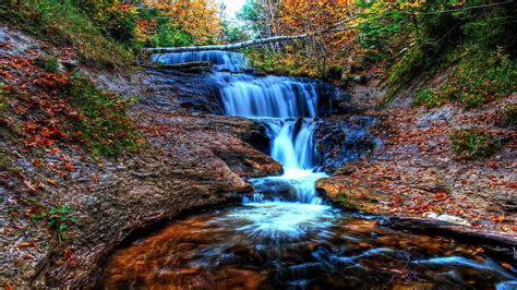 Waterfall In Autumn Forest