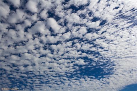 Cirrocumulus Clouds By Peatree Creations Clouds Clouds Photography