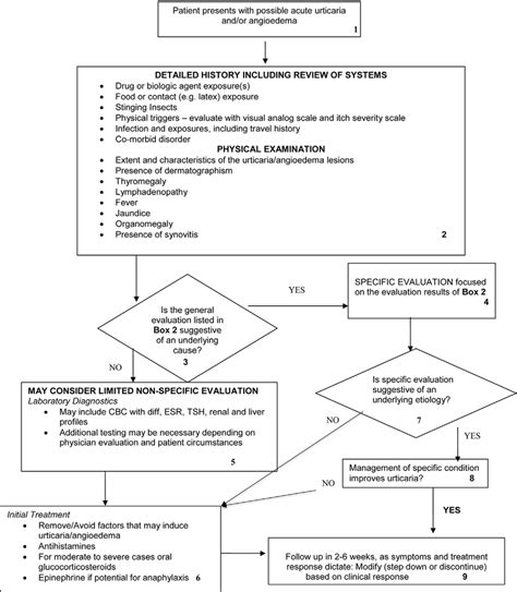 Diagnosis And Management Of Acute Urticaria Download Scientific Diagram