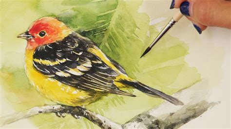 Watercolor Painting Backyard Little Bird Youtube
