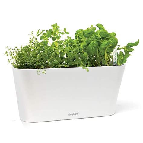 15 Awesome Indoor Self Watering Planters That Really Work