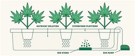 How To Set Up A Hydroponic Grow System For Cannabis 2020 Grow Guide