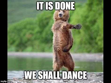 Happy Dance Bear Imgflip