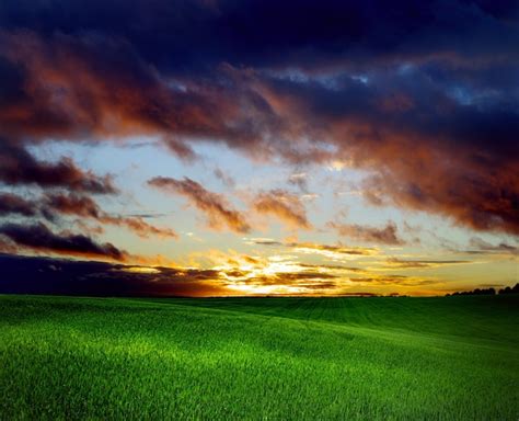 Premium Photo Dark Clouds Over Field With Grass