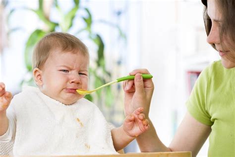 Qué Hacer Si Mi BebÉ No Quiere Comer Papilla ¡8 Claves