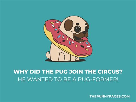 100 Funny Pug Jokes Puns